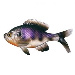 Fishing Equipment & Gear 13 Fishing The Gill Swimbait