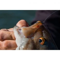 6th Sense Drop Shot Hooks