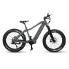 QuietKat Apex Electric Bike
