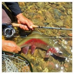 Fishing Equipment & Gear Douglas SKY Series Fly Rod - 2 Weight-12 Weight 4 Piece Fly Rods